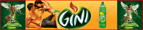 Gini