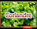 Coriandre