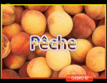 Pêche